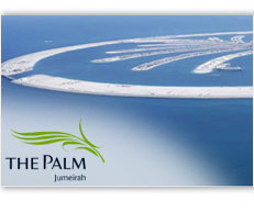The Palm Jumeirah case study image
